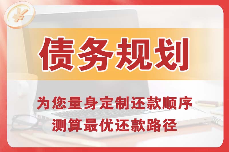 环江债务规划